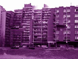 banlieue_pourrie_2.jpg